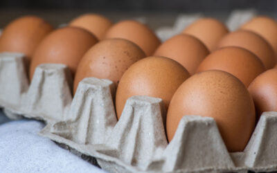 Finedale Foods highlights commitment to British eggs