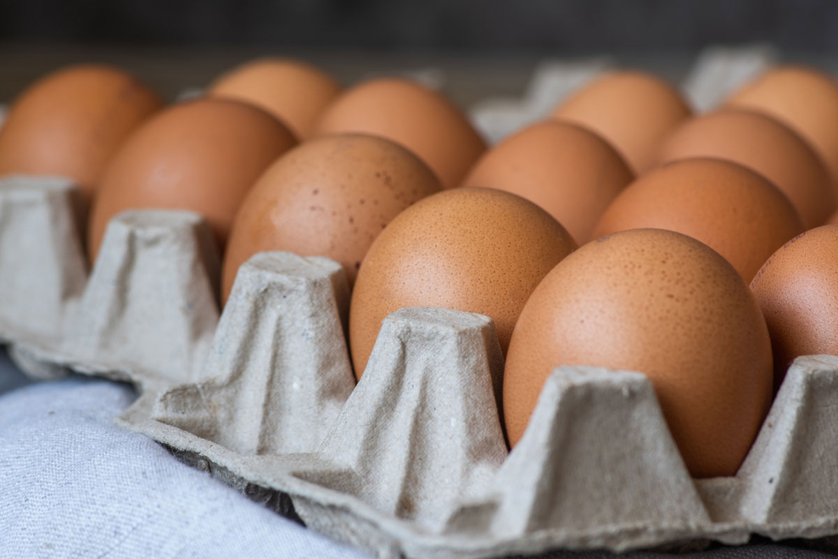 Finedale-Foods—Quality-Eggs British Eggs